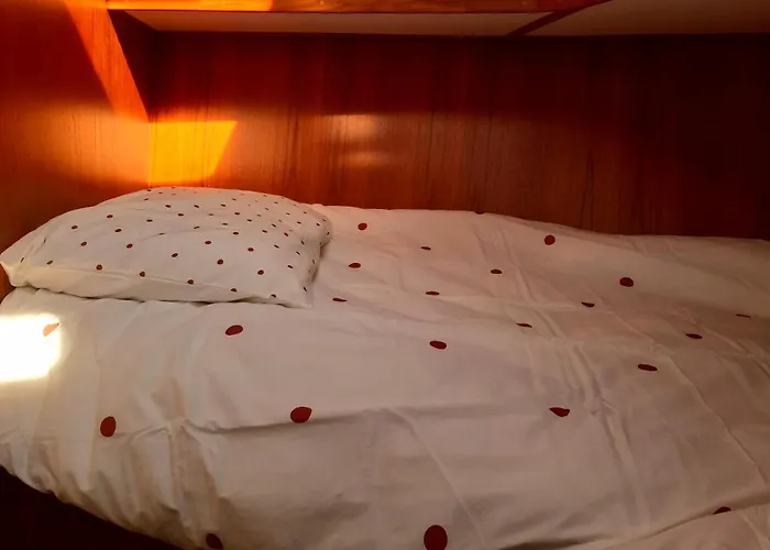 Motor Yacht Amazone * アムステルダム