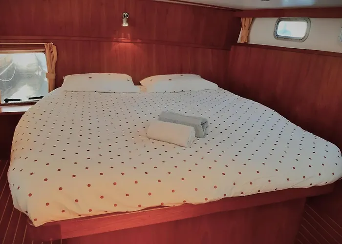 船上ホテル Motor Yacht Amazone *